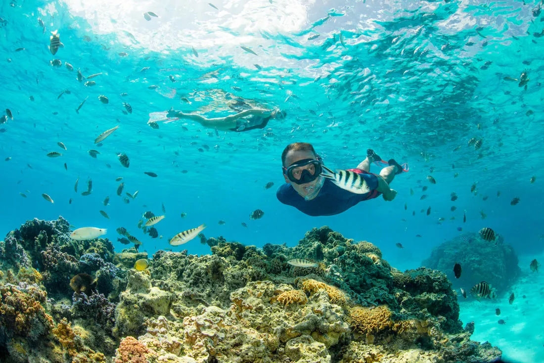 Diving mask 100 comfort
