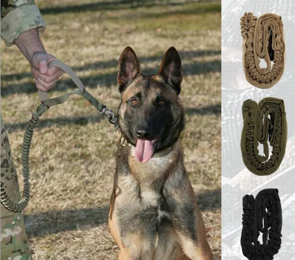 Durable Nylon Leash