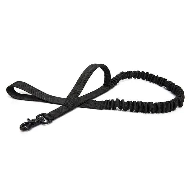 Durable Nylon Leash