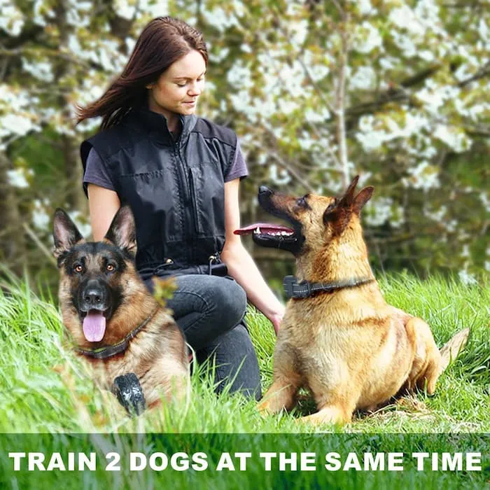 [FunTrainer ] Dog Training Collar with Remote for 2 Dogs