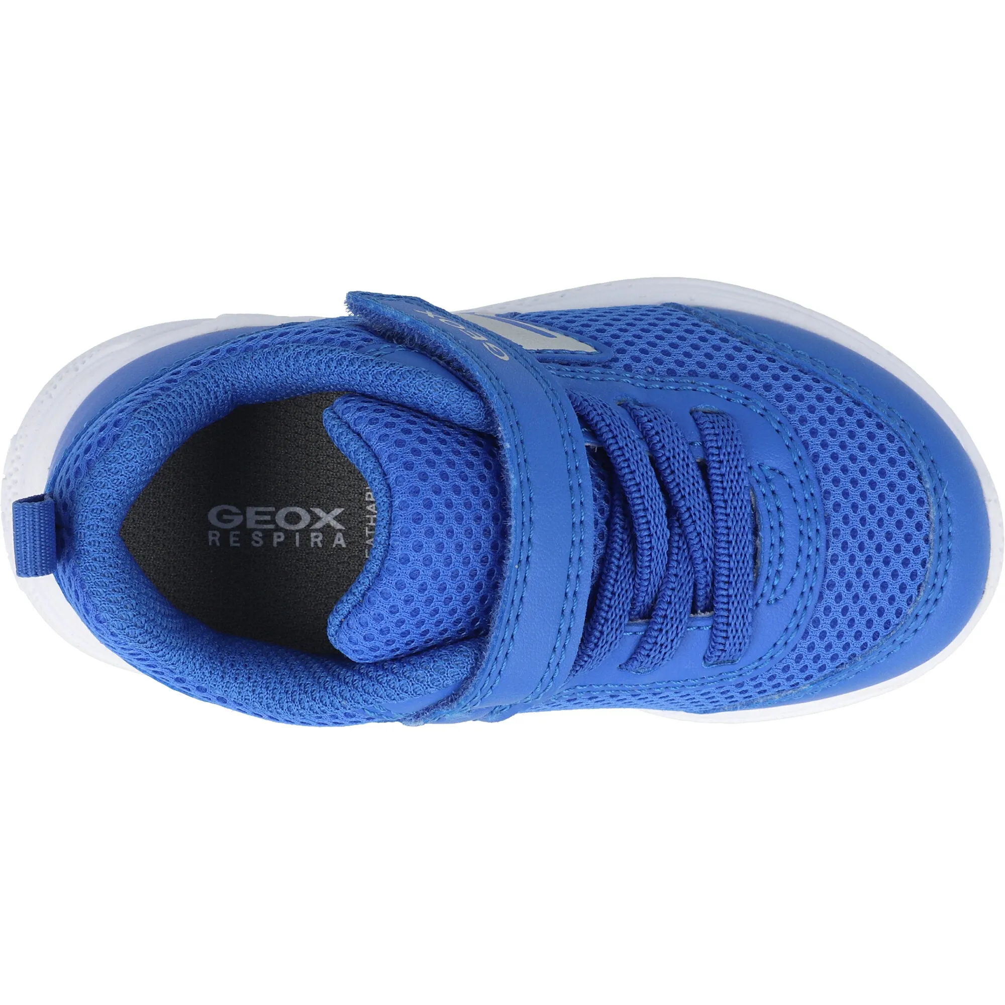 Geox Sprintye Royal Blue Baby Sneakers