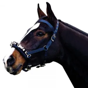 Kincade Coordinate Lunge Cavesson