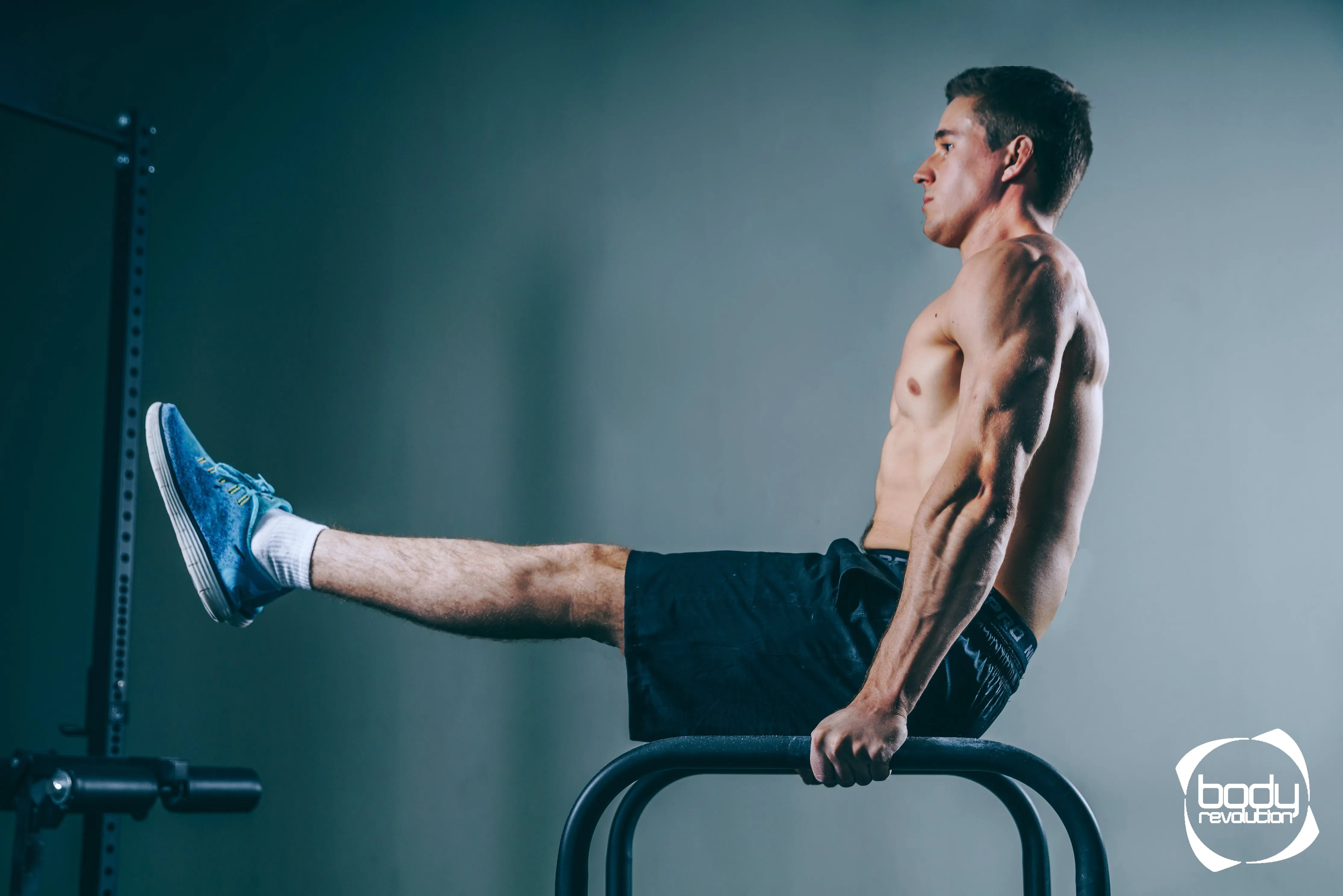 Large Parallettes