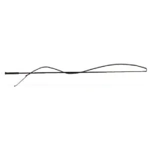 Lunge Whip