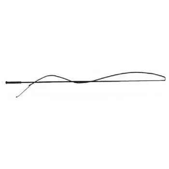 Lunge Whip