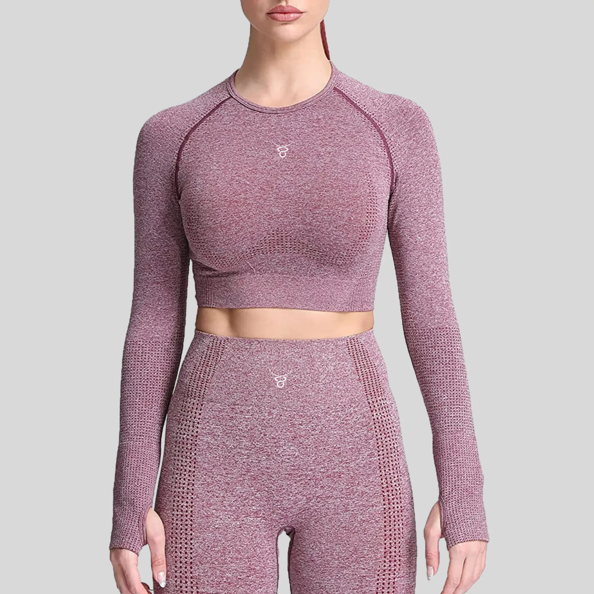Orbit Seamless Long Sleeve Crop Top