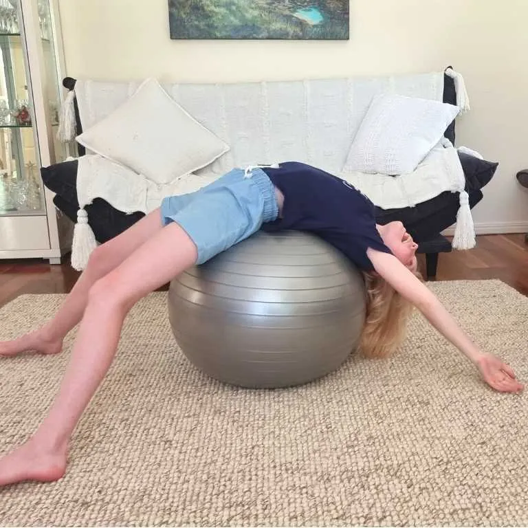 Round Gym Ball