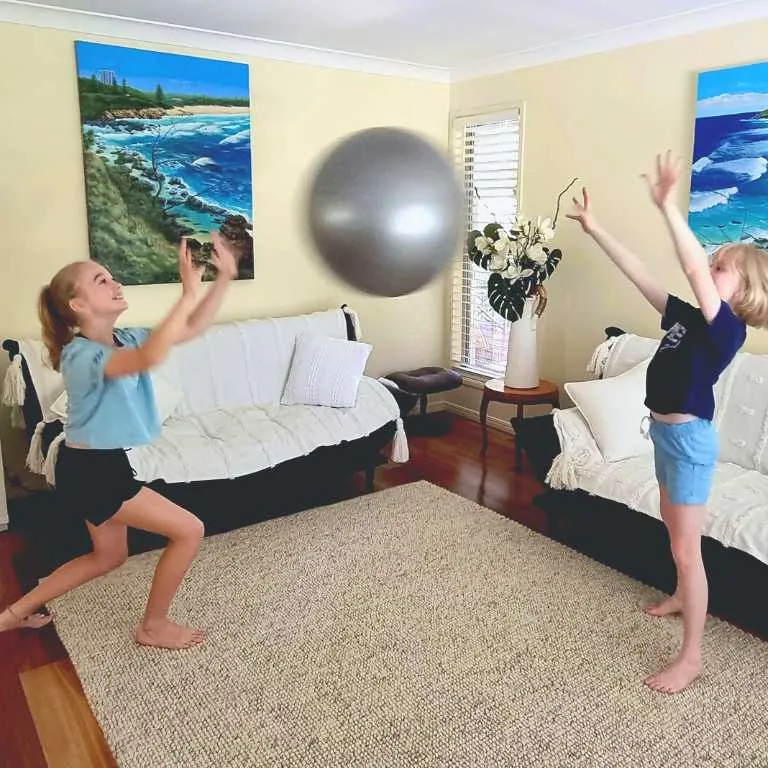 Round Gym Ball