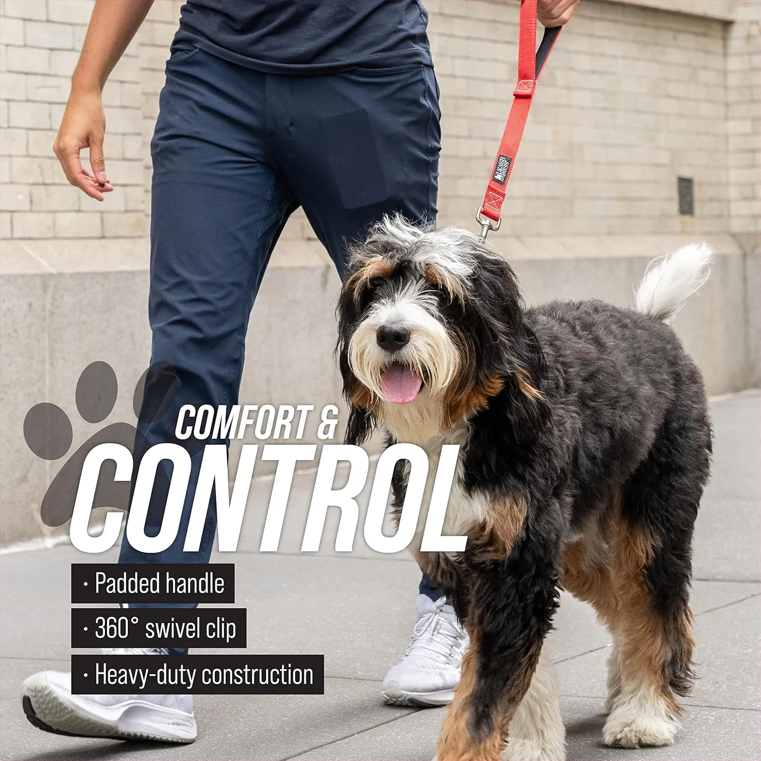 Short Dog Leash with Padded Handle