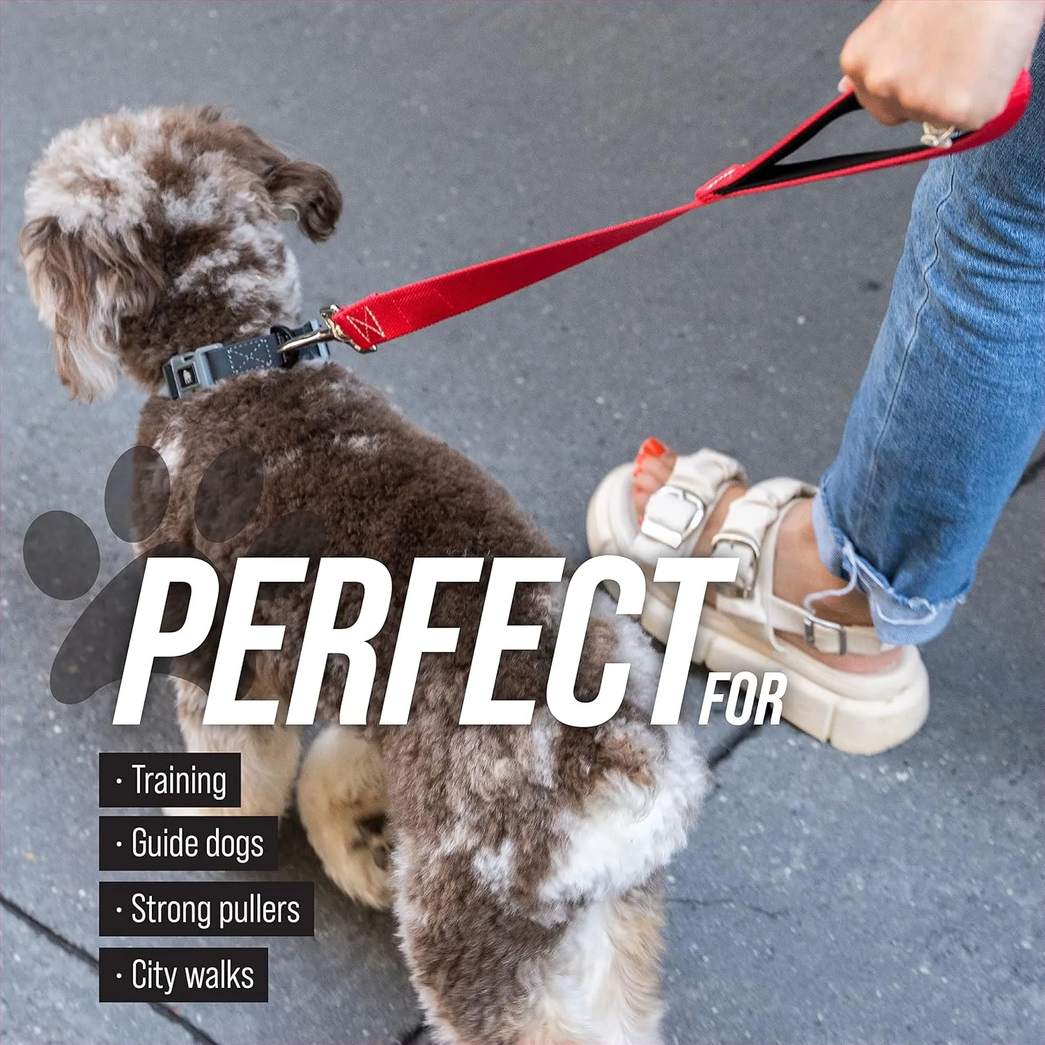 Short Dog Leash with Padded Handle