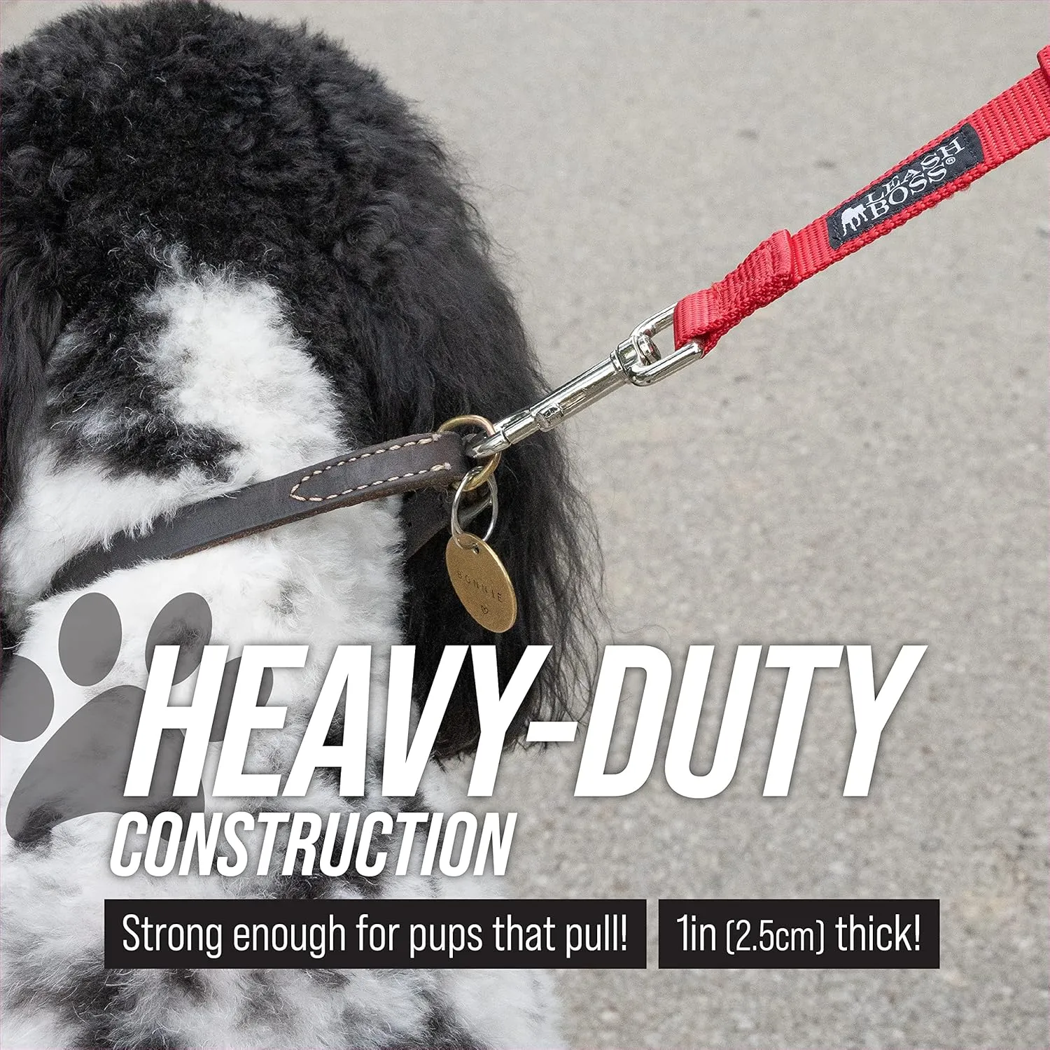 Short Dog Leash with Padded Handle