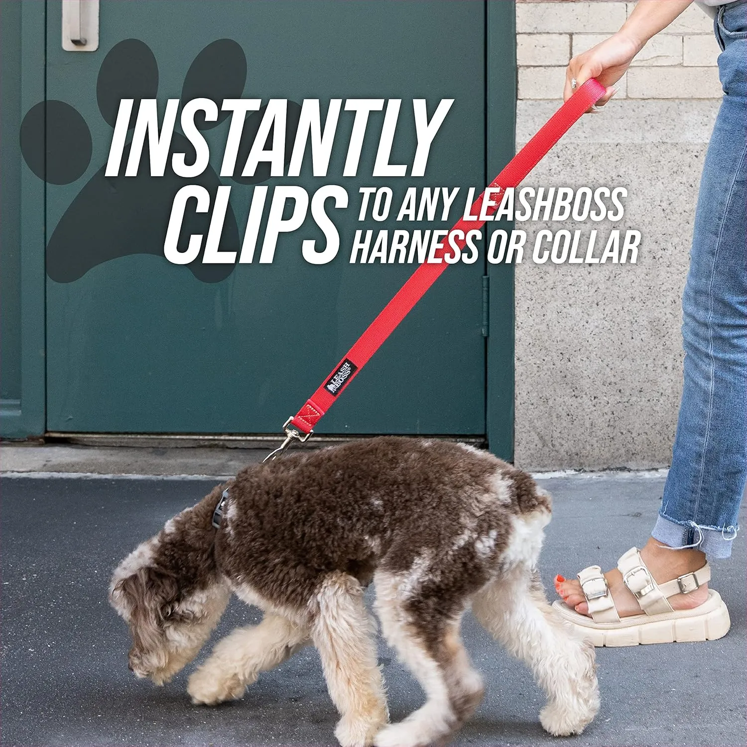 Short Dog Leash with Padded Handle