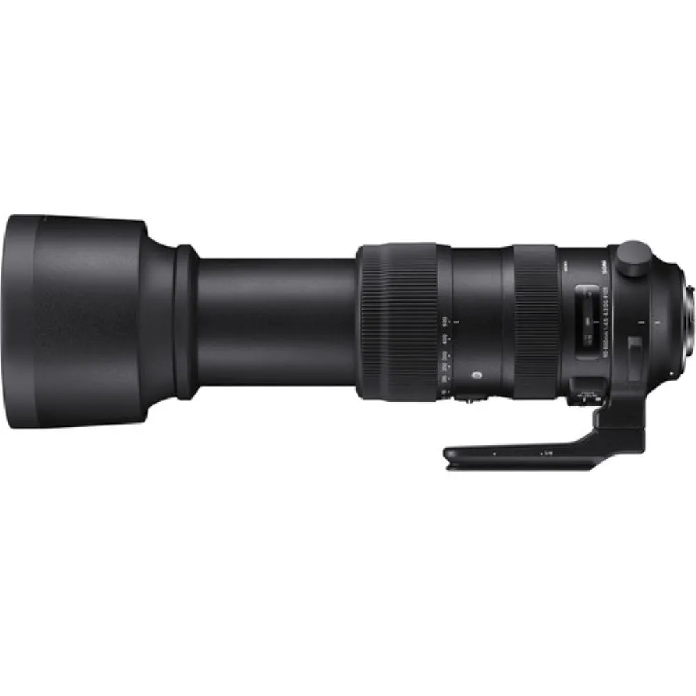 Sigma 60-600mm f/4.5-6.3 Sports DG OS HSM Lens for Nikon F Mount