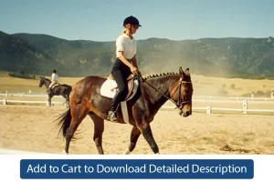 Training Tip - #091 Training Forward Movement Impulsion