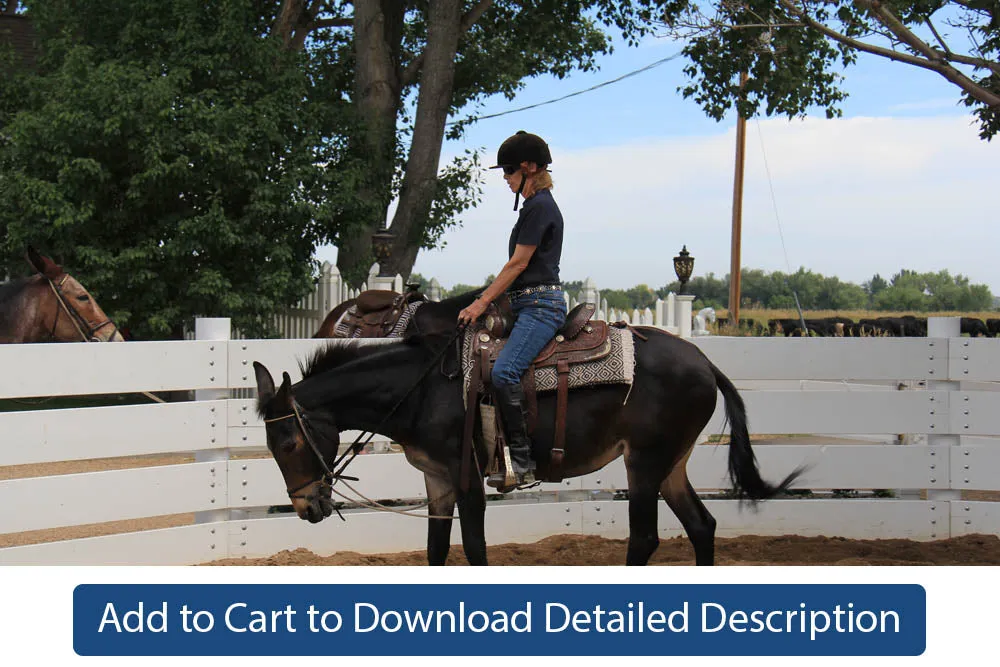 Training Tip - #095 The Reinback Under Saddle