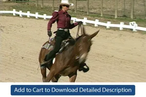 Training Tip - #097 Teaching Your Equine to Spin