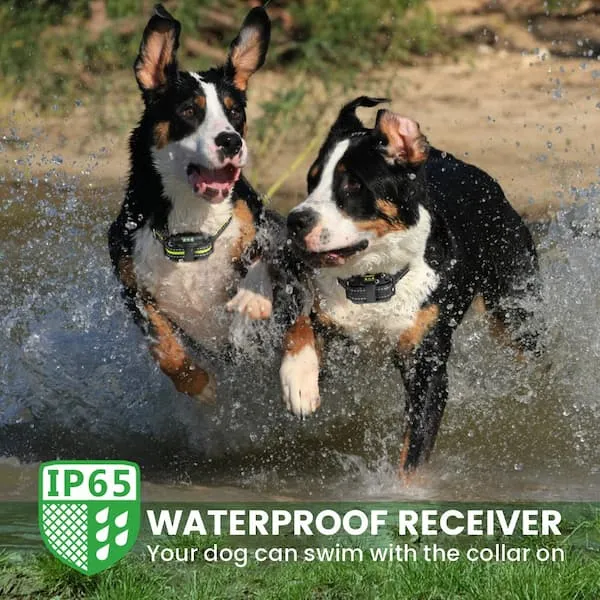 [VoiceTrainer ] Shock Collars for Dogs with Walkie-Talkie Function
